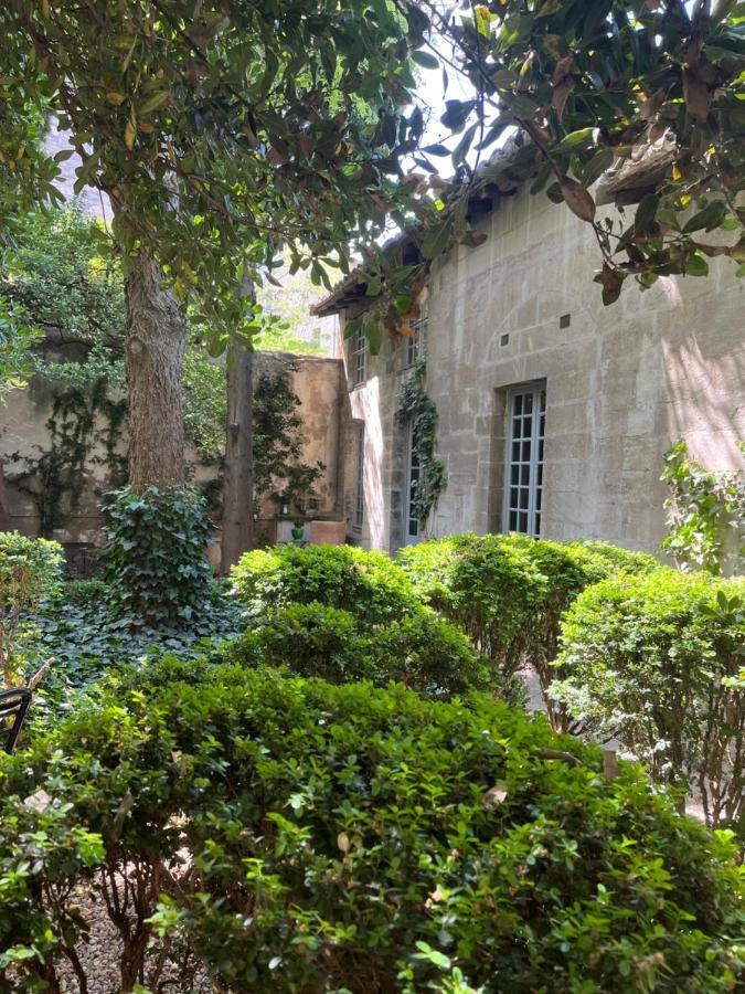 Face Au Palais Avignon